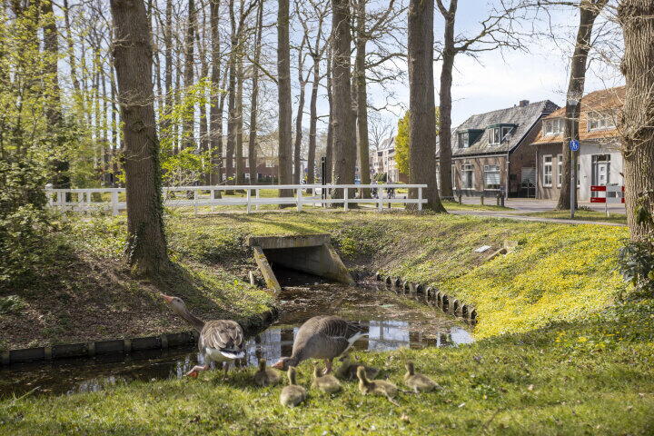 Foto 62 - Kasteellaan 59, Wijchen