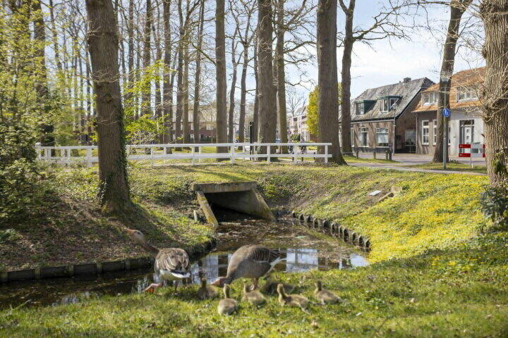 Foto 78 – Kasteellaan 59, Wijchen