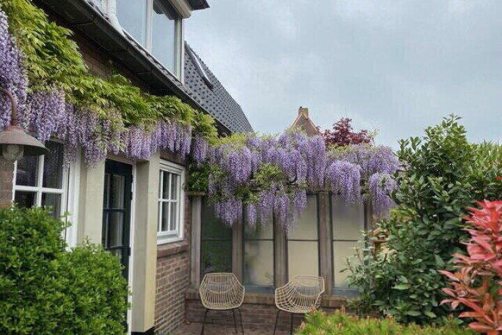 Foto 68 - Kerkstraat 3, Maasbommel