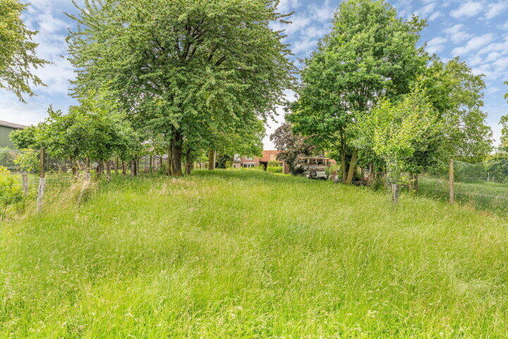 Foto 71 – Klein-Haasdal 69, Schimmert