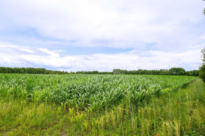 Foto 8 – Koekoeksweg 1 B, Dwingeloo