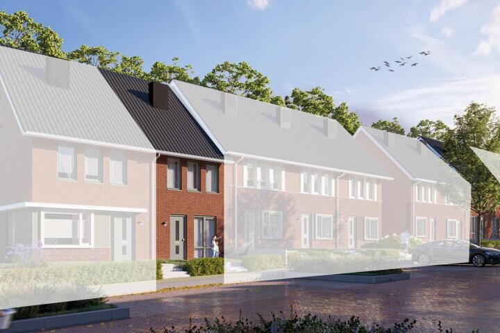 Bravo (3 beschikbaar) , Steenwijk