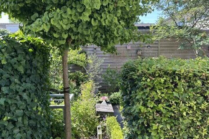 Foto 36 – Kraaijenberg 8304, Wijchen