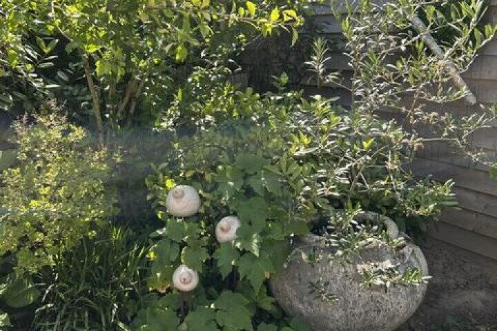 Foto 37 – Kraaijenberg 8304, Wijchen