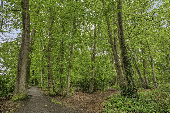 Foto 41 - Kronenland 1307, Wijchen