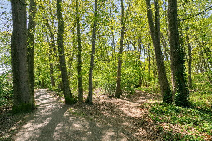 Foto 38 - Kronenland 1310, Wijchen