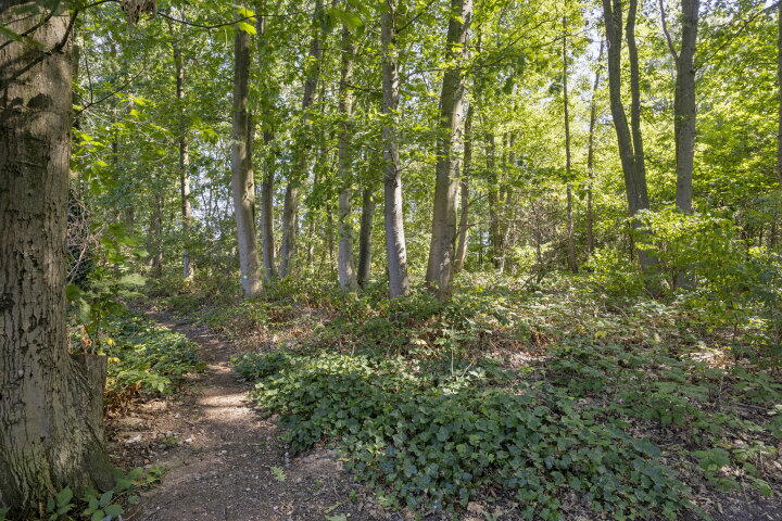 Foto 40 – Kronenland 1508, Wijchen
