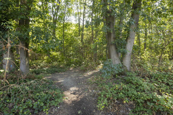 Foto 41 – Kronenland 1508, Wijchen