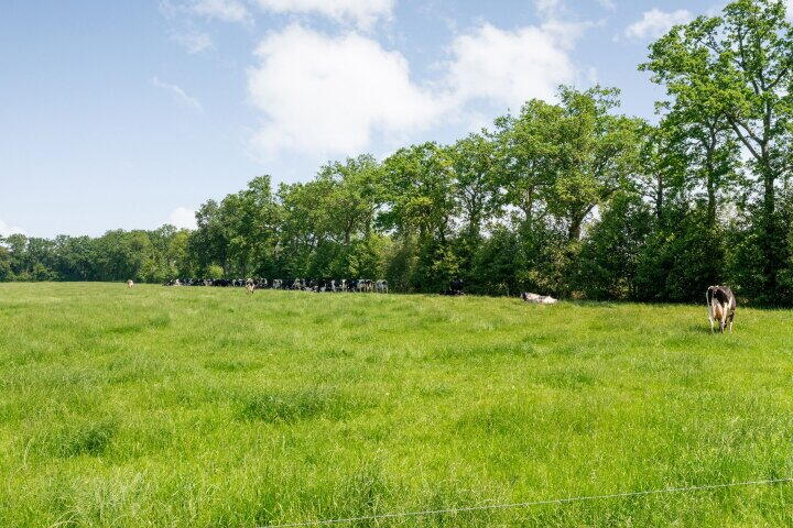 Foto 74 – Kuipersdijkje 4, Broekhuizen (DR)