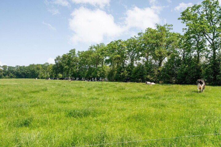 Foto 75 – Kuipersdijkje 4, Broekhuizen