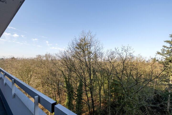 Foto 24 - Landschaplaan 123, Emmen