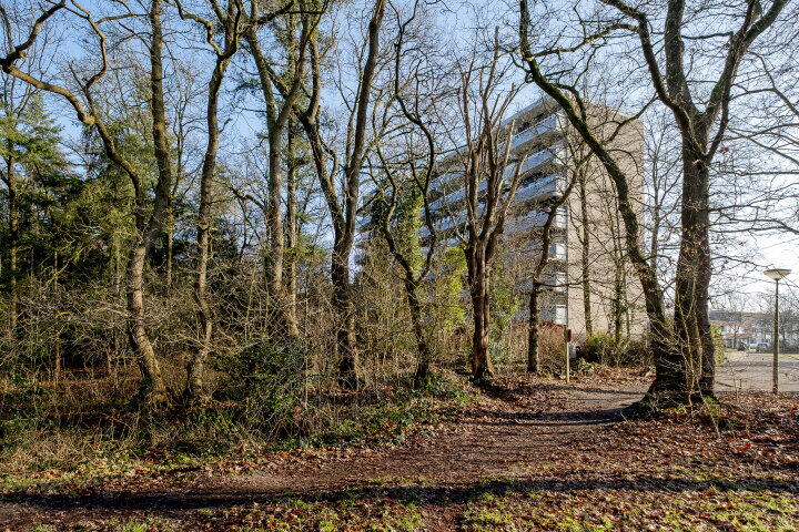 Foto 32 - Landschaplaan 123, Emmen