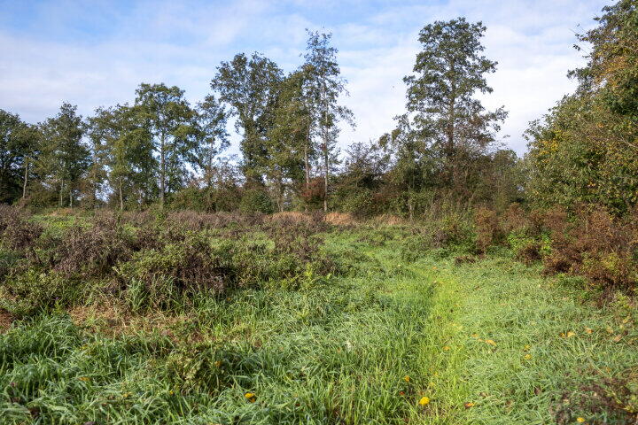 Foto 46 - Lievingerveld 900, Beilen