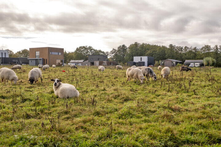 Foto 52 - Lievingerveld 900, Beilen