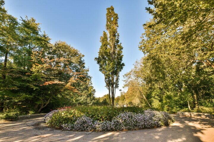 Foto 40 - Linnaeusstraat 67 3, Amsterdam