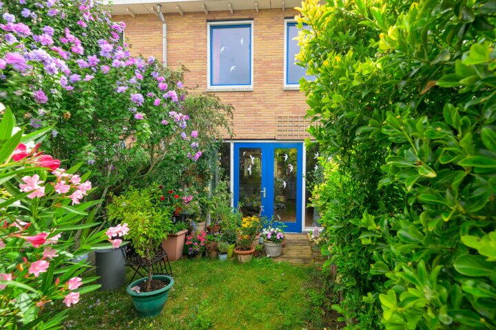 Foto 17 – Lofoten 119, Zoetermeer