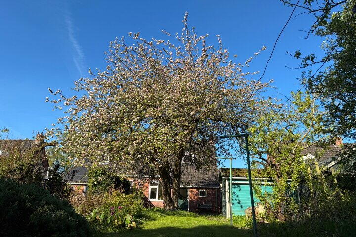 Foto 46 – Luingaweg 5, Bierum