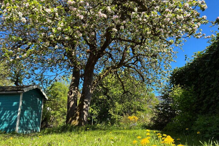 Foto 47 – Luingaweg 5, Bierum
