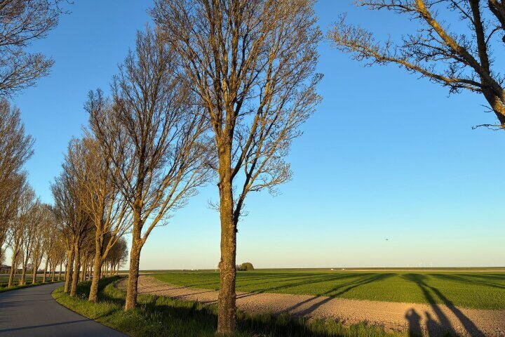 Foto 48 – Luingaweg 5, Bierum