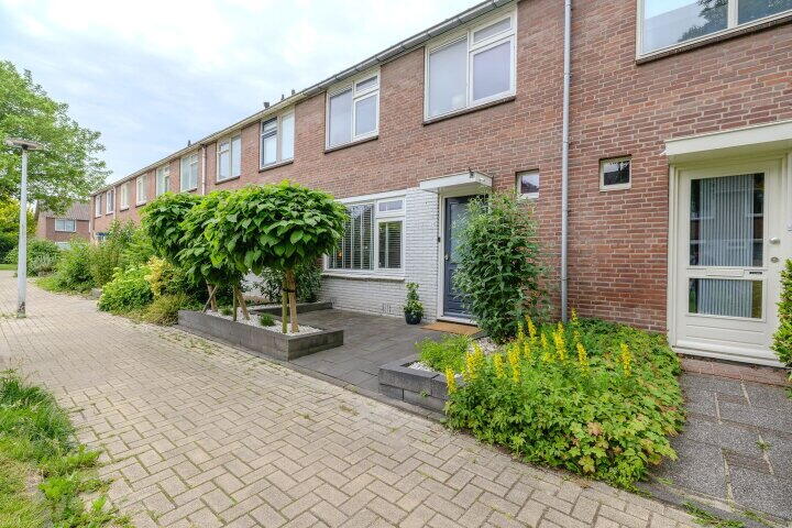 Foto 4 – Manger Catsperk 25, Drachten