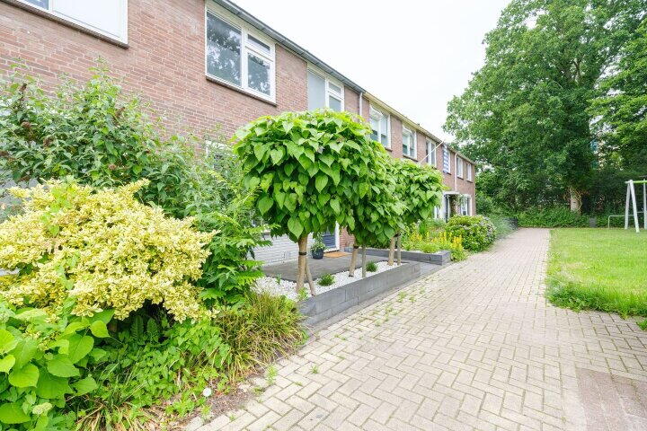 Foto 5 – Manger Catsperk 25, Drachten