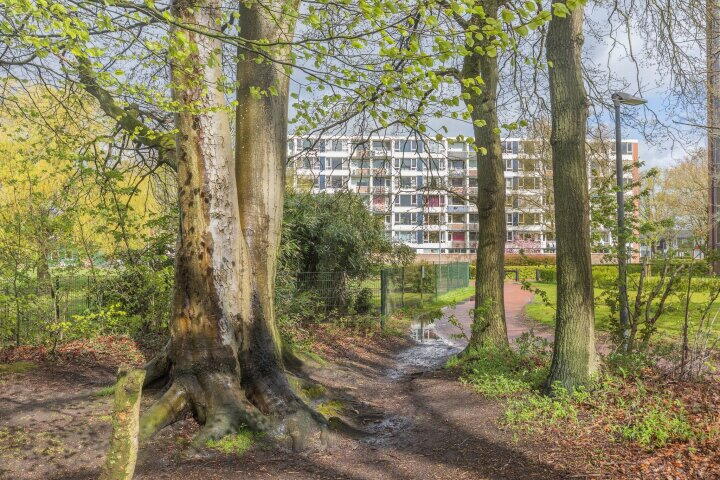 Foto 25 - Maria in Campislaan 133, Assen