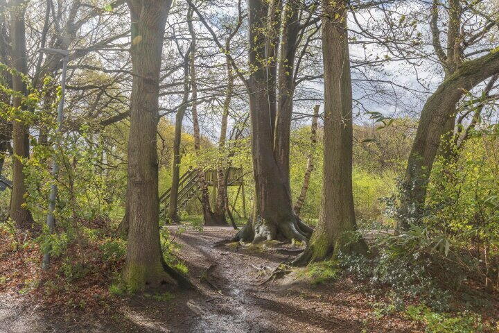 Foto 28 - Maria in Campislaan 133, Assen