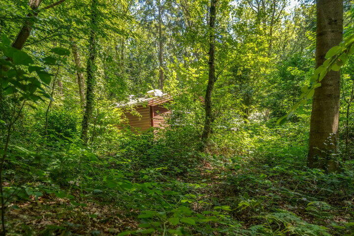 Foto 33 – Meerlaan 22, Norg