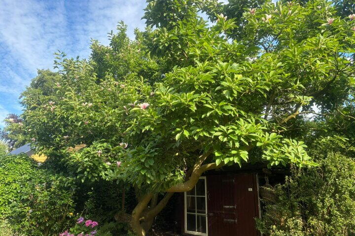 Foto 52 - Meester Schaapstraat 12, Roden