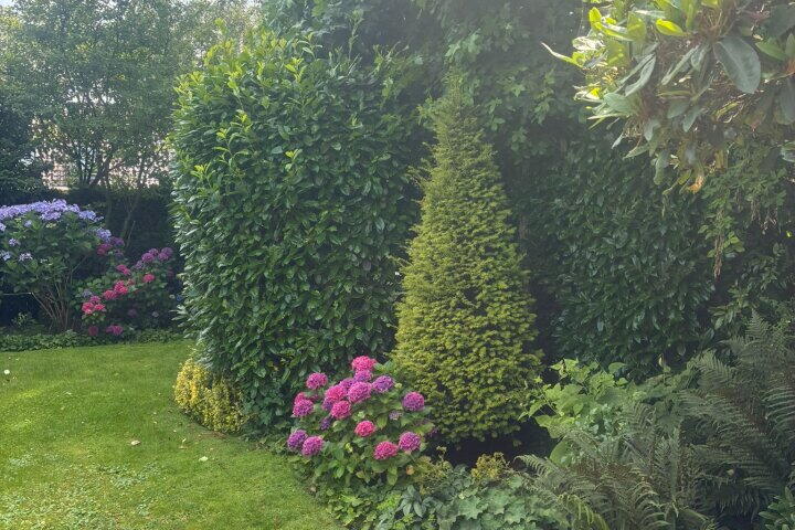 Foto 53 - Meester Schaapstraat 12, Roden