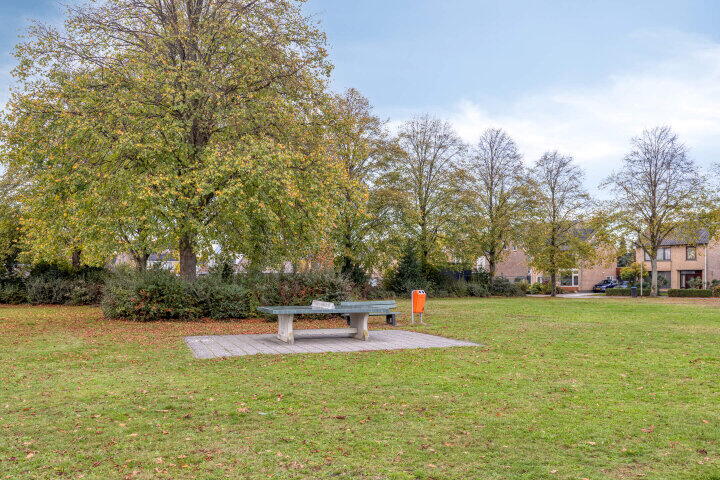 Foto 38 - Meidoornstraat 5, Heerle