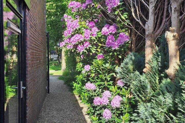 Foto 72 – Mensinge 15, Zuidlaren