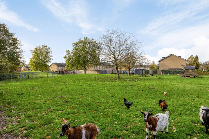 Foto 29 - Merelstraat 8, Wijchen