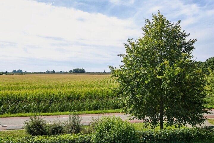 Foto 55 – Middelweg Oost 12, Wijk bij Duurstede