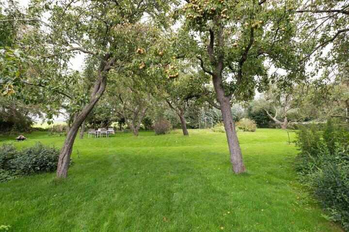 Foto 42 – Middenweg 37, Dirkshorn