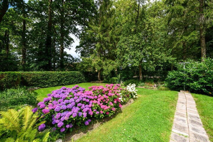 Foto 34 – Molenhoek 42, Oldeberkoop