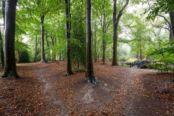 Foto 41 – Molenhoek 42, Oldeberkoop