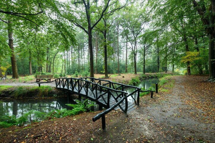 Foto 42 – Molenhoek 42, Oldeberkoop