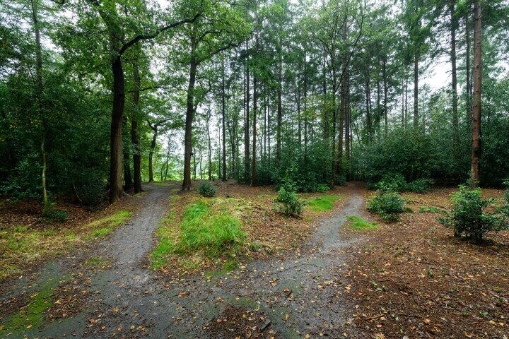 Foto 43 – Molenhoek 42, Oldeberkoop