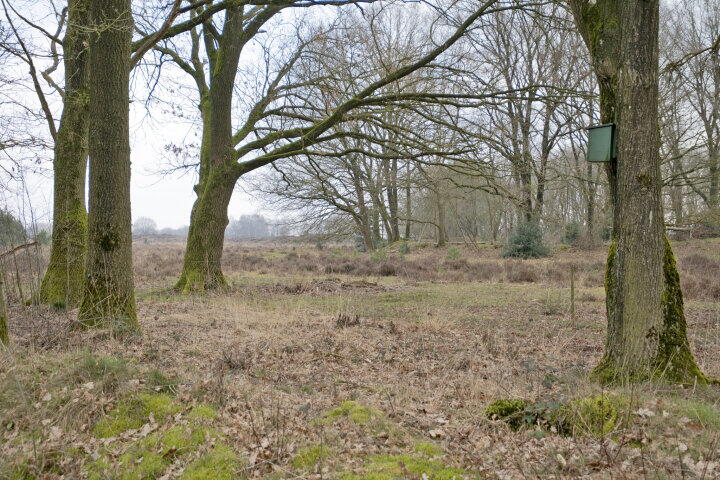 Foto 5 - Moraineweg 20 14, Spier