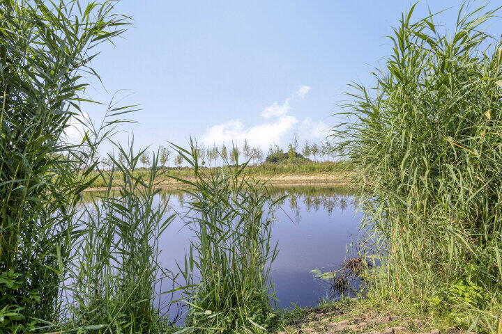 Foto 40 - Mosberg 82, Roosendaal