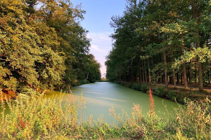 Foto 35 - Nassaulaan 3, Amerongen