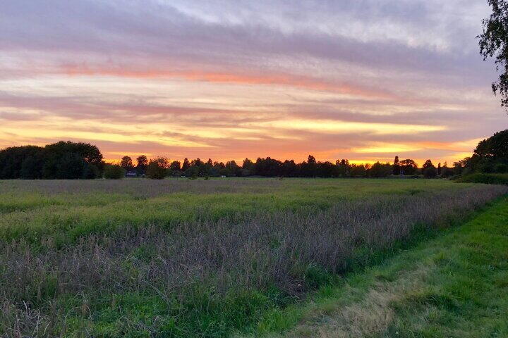 Foto 36 - Nassaulaan 3, Amerongen