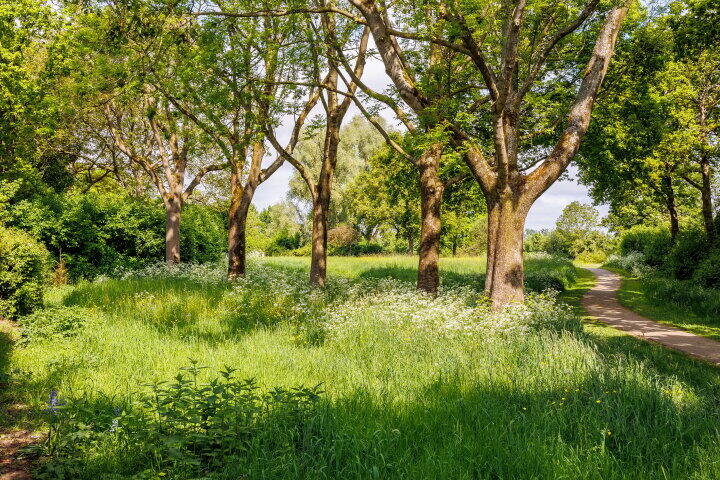 Foto 56 - Nieuwe Pyramide 27, Wijk bij Duurstede