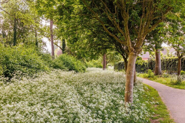 Foto 61 - Nieuwe Pyramide 27, Wijk bij Duurstede