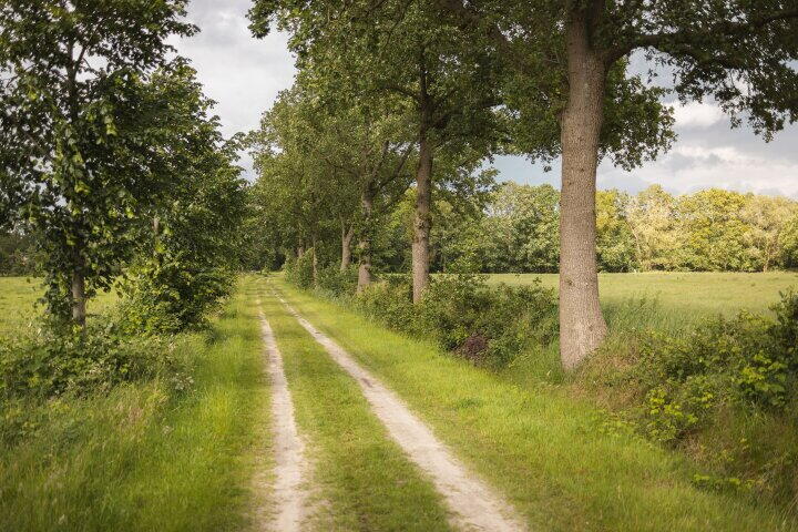 Foto 78 – Nieuwlandenweg 1, Uffelte