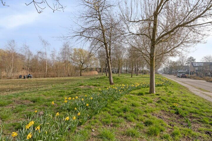 Foto 42 - Noppenstraat 22, Zwaanshoek