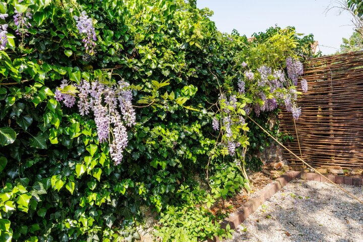 Foto 41 - Oeverstraat 1, Wijk bij Duurstede