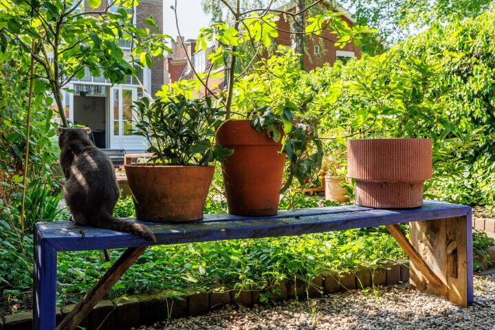 Foto 43 - Oeverstraat 1, Wijk bij Duurstede