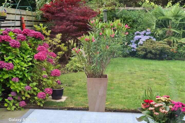 Foto 63 - Okster 30, Roden